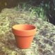 Terracotta pot