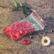 Red jewels
