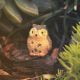 Owl fairy garden critter