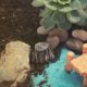 tiny tree stump fairy garden