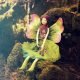 Forest fairies
