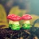 Red toadstools