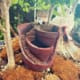 Brokenpot small1