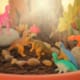 Dinosaurs