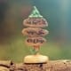 Signpost snailtrail