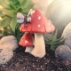 Dragonfly toadstool thumb2